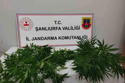 Hilvan’da uyuşturucu ele geçirildi
