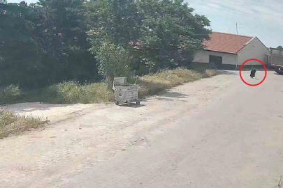 Kamyonun çarptığı yaşlı kadın hayatını kaybetti: Feci kaza kamerada
