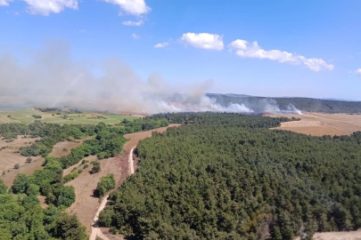Çanakkale’de tarım arazisinde başlayan yangın ormana sıçradı
