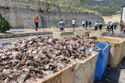 Seyir halindeki tırın dorsesi patladı, 15 ton balık atığı yola saçıldı
