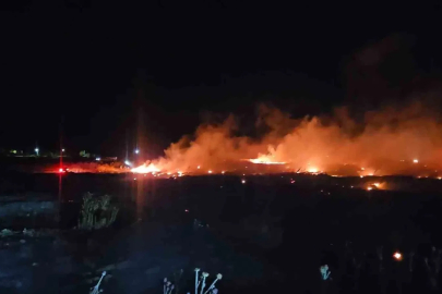 Burhaniye’de korkutan örtü yangını

