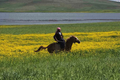 Van’da bir yanda çiçekler, diğer yanda metrelerce kar
