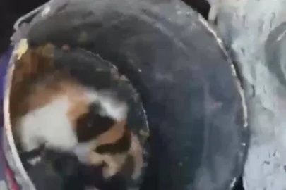 Osmaniye’de balyozla genişletilen kuyudan yavru kedi kurtarıldı
