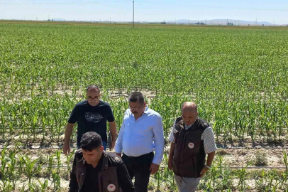 Karapınar’da dolu afetinin etkilediği alanlarda inceleme

