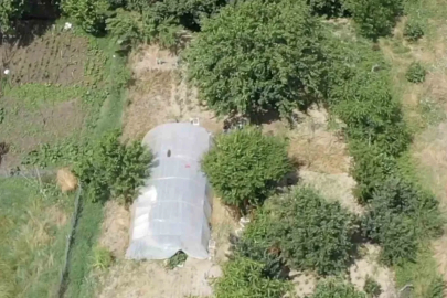Dron destekli operasyonda seraya gizlenen hint kenevirleri ele geçirildi
