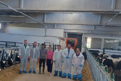 Hisarcık’ta ilk hastalıktan ari büyükbaş işletmesi için önemli adım

