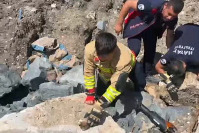Anne kedi yavruları kurtarılana kadar ekiplerin başında bekledi
