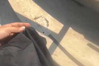Havuza tesettürlü mayo yasağında 1 gözaltı
