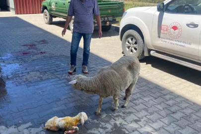 Erzincan’da zamanla yarış mutlu sonla bitti
