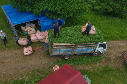 Karadeniz insanı yine zekasını konuşturdu, zor işi kolaylaştırdı
