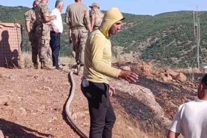 Siirt’te çıkan yangın ekiplerin müdahalesiyle söndürüldü

