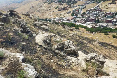 Mardin’de ormanlık alanda çıkan yangın söndürüldü
