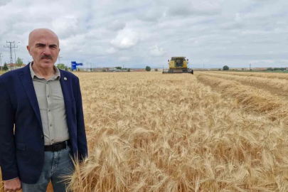 Karaman Ovası’nda yılın ilk arpa hasadı yapıldı
