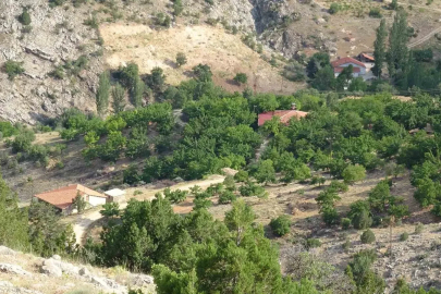 Cinayete kurban giden Aysel Yıldırım için 1600 rakımlı dağlık alanda arama
