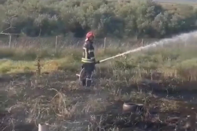 Osmaniye’de tankerin lastiklerinden çıkan yangın zeytin bahçesine sıçradı
