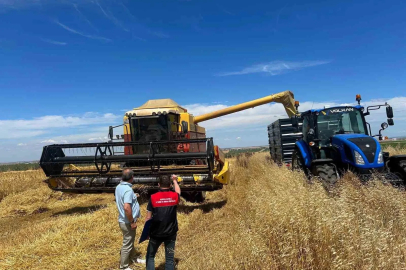 Kırklareli’nde hasat döneminde biçerdöver denetim
