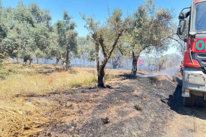 Korkutan arazi yangını 1 saatte kontrol altına alındı

