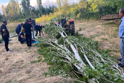 Isparta’da kestiği ağacın altında kalan adam hayatını kaybetti
