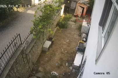 Karganın yumurta hırsızlığı kameraya yansıdı
