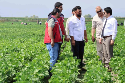Arsuz’da soya ekimi yapıldı
