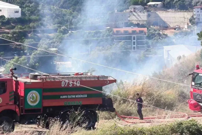 Alanya’da zirai alanda çıkan yangında 1 dönüm zarar gördü
