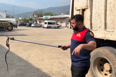 Osmaniye’de kaçak yolcu yılan, üçüncü araçta yakalandı
