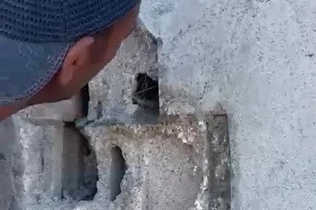 Kars’ta sıva altından gelen ses hayat kurtardı: Usta duvarı kırıp kuş yavrularını kurtardı
