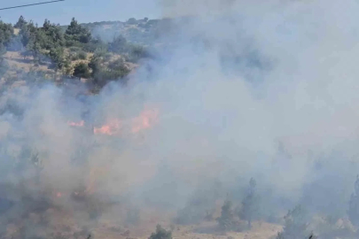 Balıkesir’de otluk ve koruluk alanda yangın
