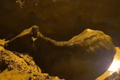 İnek belediyenin kazdığı çukura düştü
