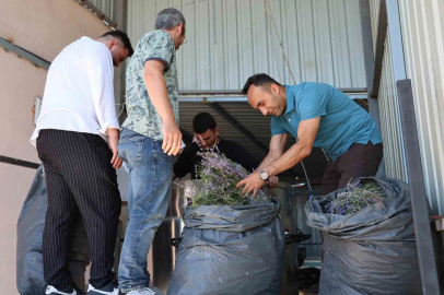 Lavanta üreten kadın kooperatifine katma değer desteği
