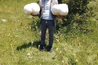 Doğada 20 kiloluk mantar buldu
