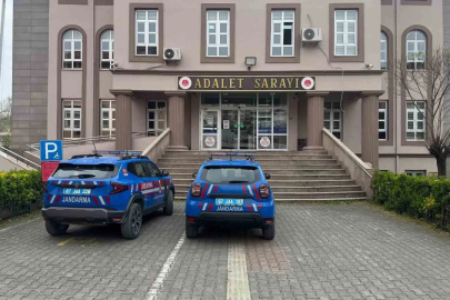 Eve kurduğu sistemle kenevir yetiştiren 2 şüpheli yakalandı
