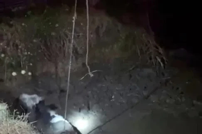 Çukura düşen ineği itfaiye kurtardı
