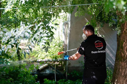 Vatandaşlara, Asya Kaplan sivrisineği uyarısı
