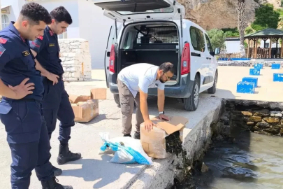 Söke’de kaçak su ürünleri nakline geçit verilmedi
