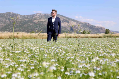 Tavas’ta karacaot ekiminde verimlilik testi yapılıyor

