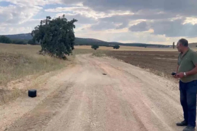 Eskişehir’de kaybolan gebe inek dron ile aranıyor
