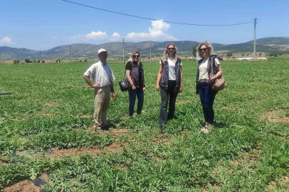 Medetli karpuzu iyi tarımla geleceğe taşınıyor
