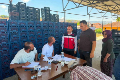 Simav İlçe Tarım ve Orman Müdürlüğünden kiraz alım merkezlerine ziyaret
