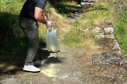 Bilecik’te piknik alanlarında ilaçlama çalışması gerçekleştirildi
