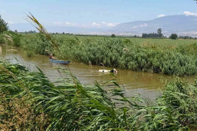 Su kanalına düşen ineği itfaiye kurtrdı
