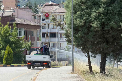 Karabük’te sinek ve haşereyle mücadele çalışmaları sürüyor
