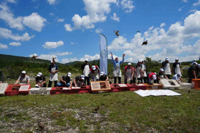 Kastamonu’da doğaya bin 200 kınalı keklik salındı
