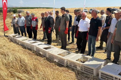 Adıyaman doğasına bin adet keklik salındı

