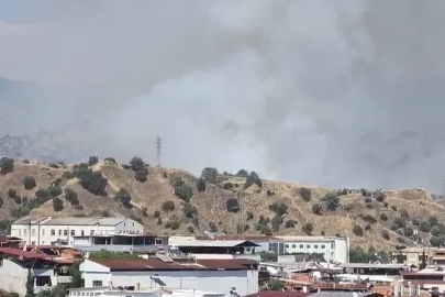 Nazilli’de zirai alan yangını
