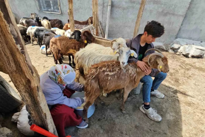 Adilcevaz’da yaylacıların yaz mesaisi devam ediyor
