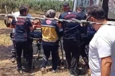 Osmaniye’de anız yangını meyve bahçelerine sıçradı: 1 kişi hastanelik oldu
