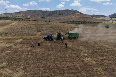 Gercüş’te kavurucu sıcakta ’oyun havalı’ hasat
