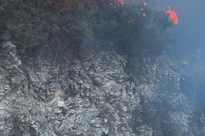 Yayladağı’nda ormanlık alanda çıkan yangın kontrol altına alındı
