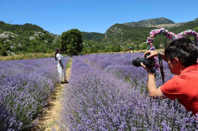Adana sıcağından kaçanlar lavanta bahçelerine akın etti
